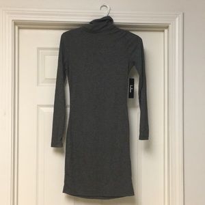 Sweater dress (lulus)